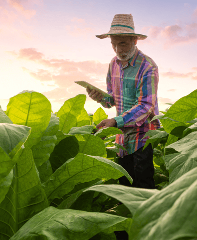 Responsible sourcing - 940x1101.png