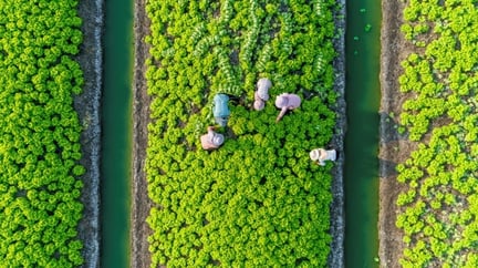 sustainability-1280x720