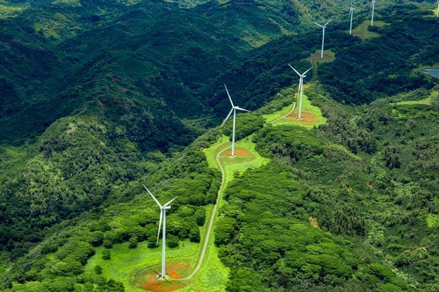 Aerial view of windmills within a forest
